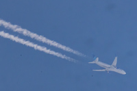 N229UA